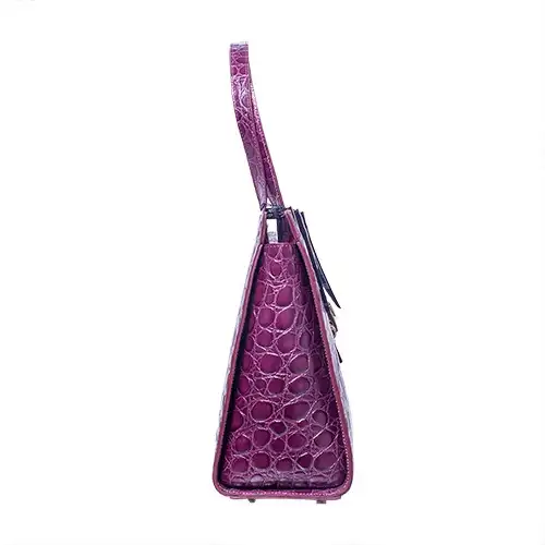 Carlo Salvatelli Skin Bag - Purple